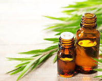 Rosemary, Lavender and Tea-tree Oils