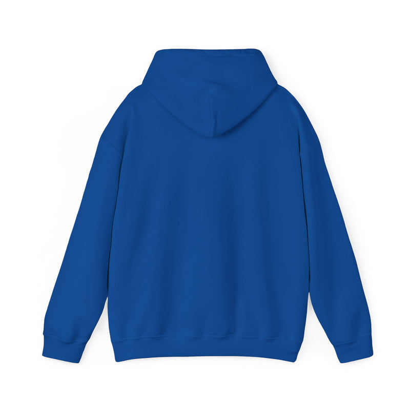 Copy of Unisex Heavy Blend™ Hooded Sweatshirt